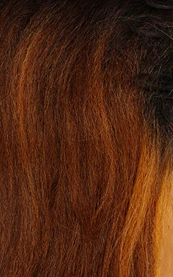 Latisha What Lace HD Lace Front Wig Long Natural Curly Style Heat Safe Synthetic Fiber